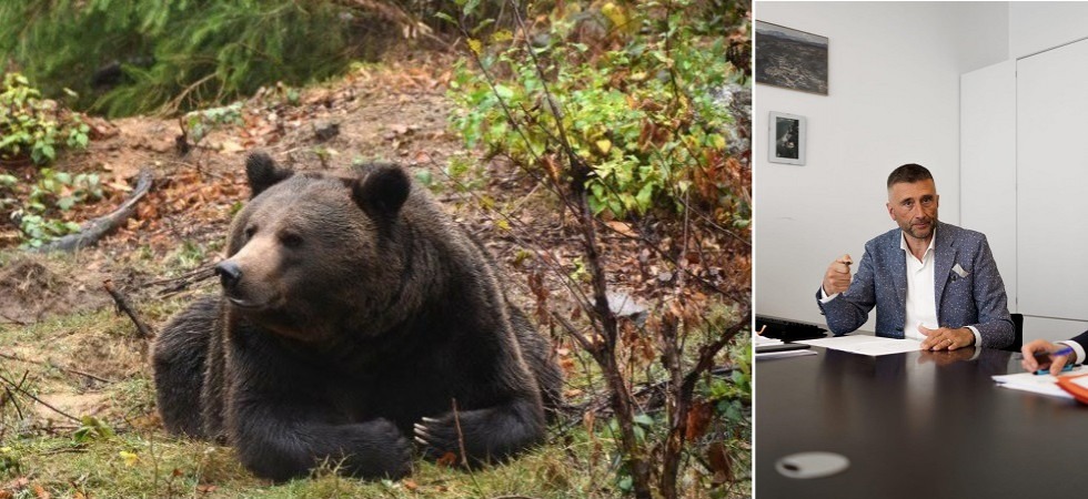 Morte orsa F43, Dallapiccola ricorda Daniza: Solidarietà ai tecnici ma anche alla Pat